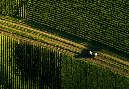 GA黄金甲·(中国集团)官方网站