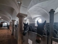 GA黄金甲·(中国集团)官方网站