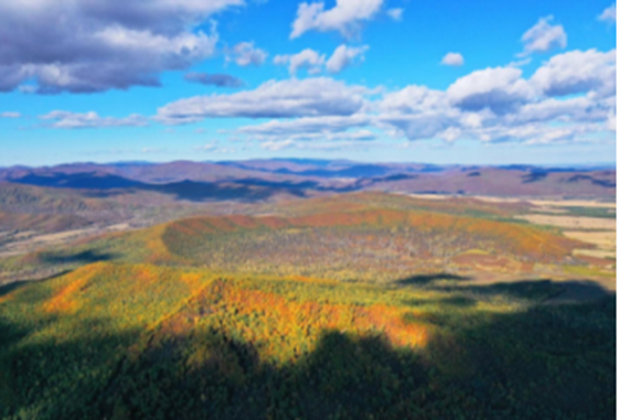 GA黄金甲·(中国集团)官方网站