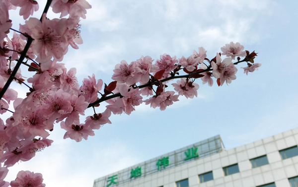 GA黄金甲·(中国集团)官方网站